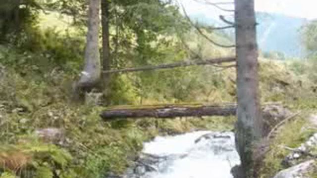 Oscar Benton   Bensonhurst Blues Xvid