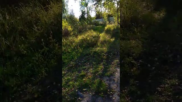 Я у бабушки на даче часть 4 смотреть онлайн