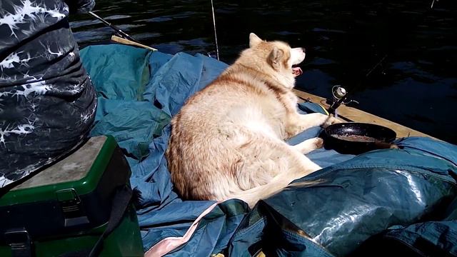 Зарисовки летней рыбалки (1) смотреть онлайн