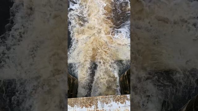 Сброс воды через Александровскую плотину, г. Пушкин смотреть онлайн