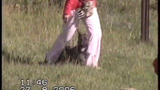 Профи от Серых Псов соревнования ОКД 2006г. Ангарск смотреть онлайн