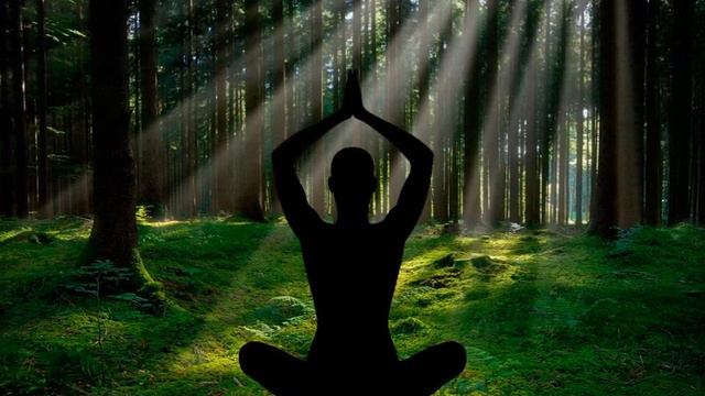 Как оставаться в потоке энергий высоких вибраций смотреть онлайн