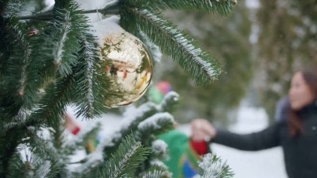 Русская зима в Sofrino Park смотреть онлайн