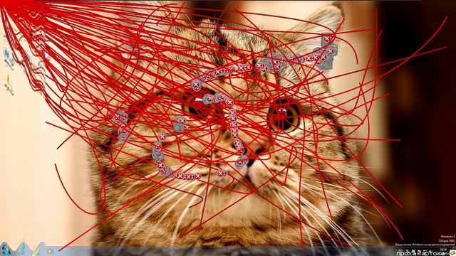 Salinewin.exe | trojan virus | #trojan #malware #windows смотреть онлайн