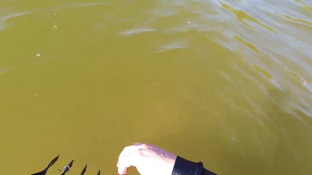 ПОИСКОВЫЕ ГРАБЛИ СВОИМИ РУКАМИ. ТЕСТИРУЮ НА ПЛЯЖЕ. УДАЛОСЬ ЛИ МНЕ НАЙТИ ЗОЛОТО? смотреть онлайн