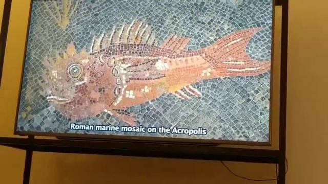 Museo Etrusco Populonia смотреть онлайн