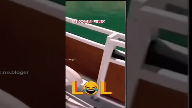 нежданчик. смотреть онлайн