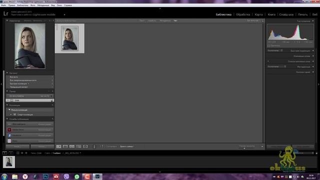 Adobe Lightroom 6. Урок 1 Интерфейс Вкладка Библиотека смотреть онлайн