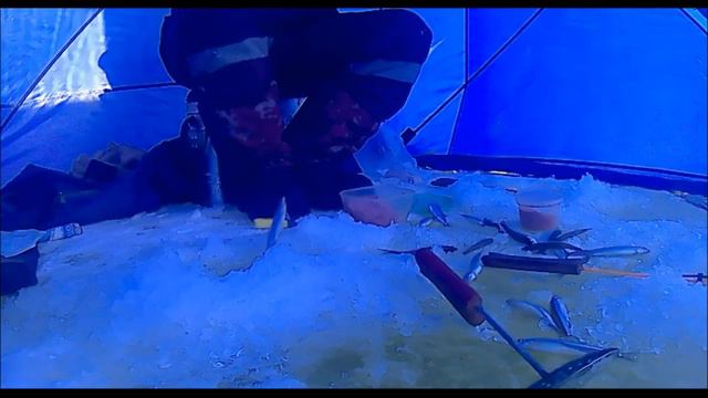 Рыбалка первая 2019 смотреть онлайн