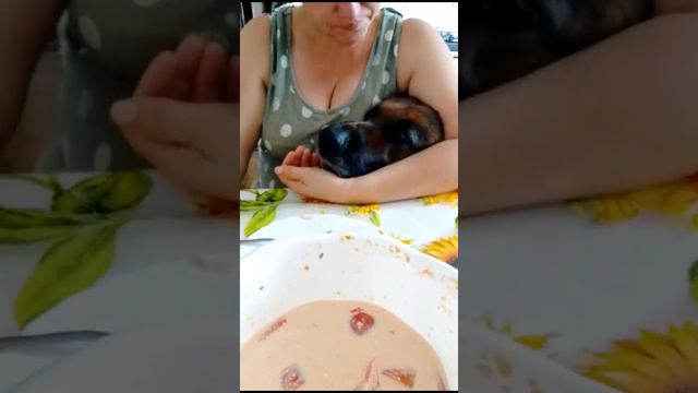 делиться нужно.mp4 смотреть онлайн
