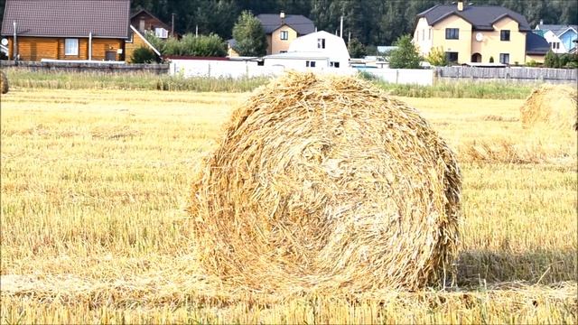 Сенокос на даче смотреть онлайн