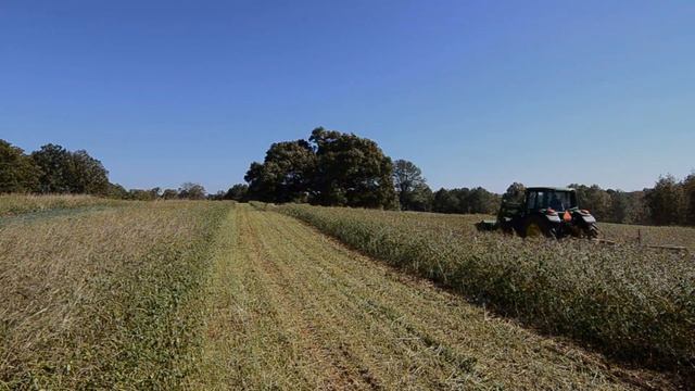 Rustic Ranch for a Sportsman's Active Family смотреть онлайн