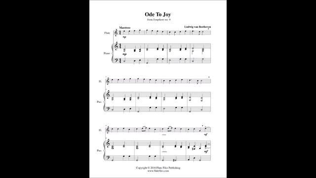 Beethoven - Ode To Joy - Flute Solo смотреть онлайн