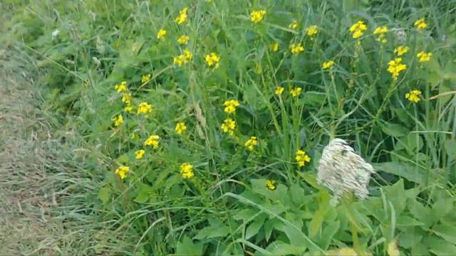 11 июля 2022 г. смотреть онлайн