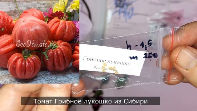 Коллекционные томаты трудяги мировой селекции на 2022 год, не только урожайные, но и вкусные ЧАСТЬ смотреть онлайн