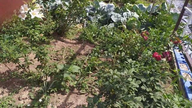 Сливаем бассейн без насоса 26.07.2021 г. 1 часть смотреть онлайн