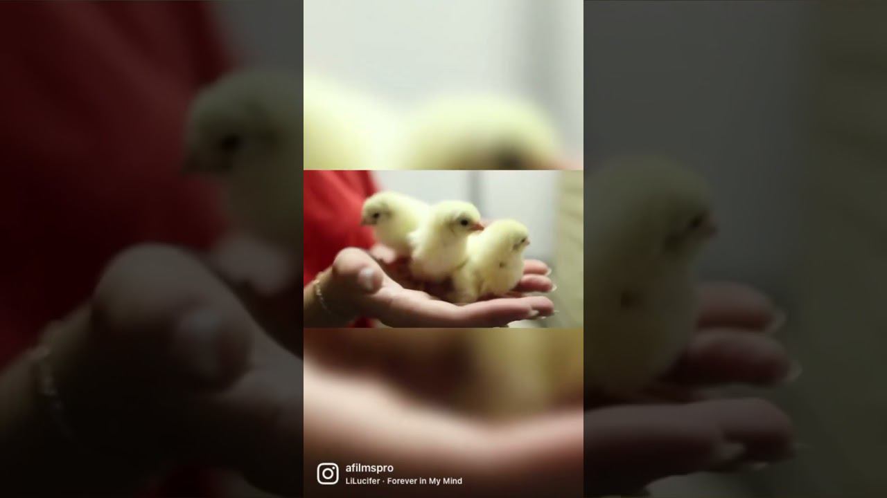 Кадры со съёмок