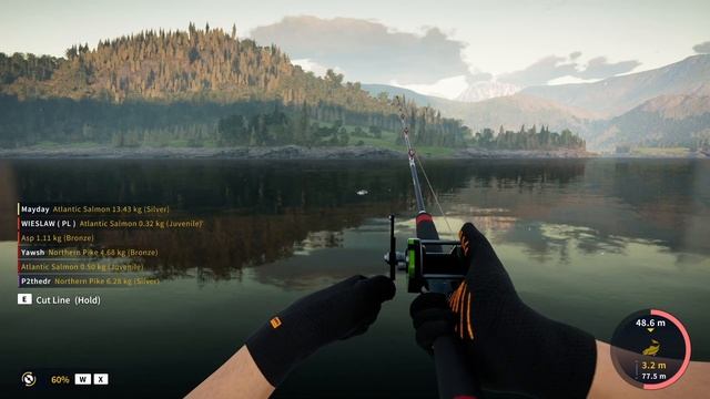 Call Of The Wild The Angler, How To Catch The Legenday Atlantic Salmon Speilfinne Norway April 20 смотреть онлайн