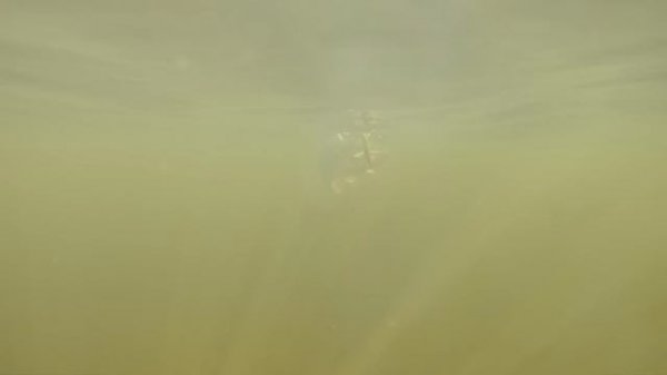 ВИЗУАЛЬНЫЙ ТВИЧИНГ / MORETHAN X-CROSS x CROSSWAKE / АЛЕКСЕЙ ШАНИН