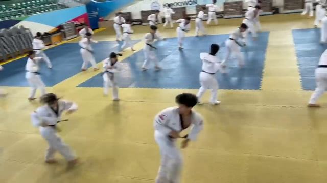 KUKKIWON TAEKWONDO filmed by GMASTER ANDRE LIMA in SOUTH KOREA || DEMONSTRATION TEAM KOREAN TRAININ смотреть онлайн