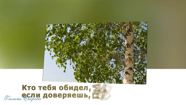 Русская Березонька! смотреть онлайн