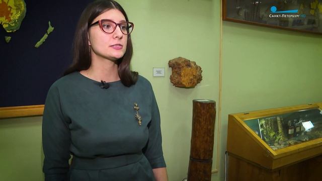 Удивительные экспонаты Ботанического музея Санкт-Петербурга смотреть онлайн