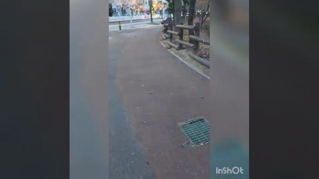 рассказ о городе где нас поместила судьба. Замечательный город, страна заботящаяся о человеке смотреть онлайн