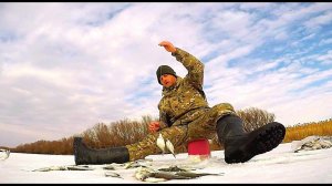 Зимняя рыбалка. Бешеный клёв на тесто. Глухозимье? Нет! Наловил ведро рыбы!