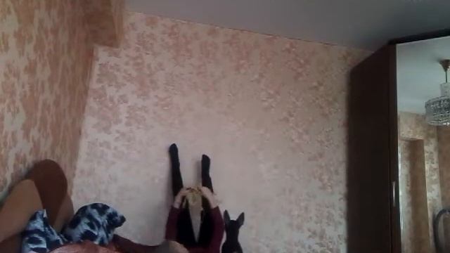 Что мы делаем с собакой!СКРЫТАЯ КАМЕРА