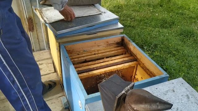 Вывод маток. Семья стартер. Семья воспитательница. Прививка личинок. смотреть онлайн