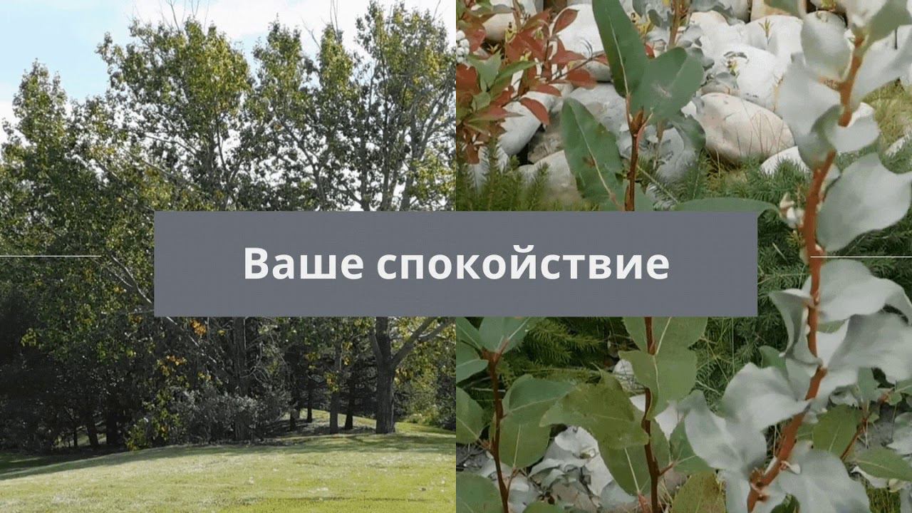 Новые технологии для систем видео наблюдения, cравнение, тесты смотреть онлайн