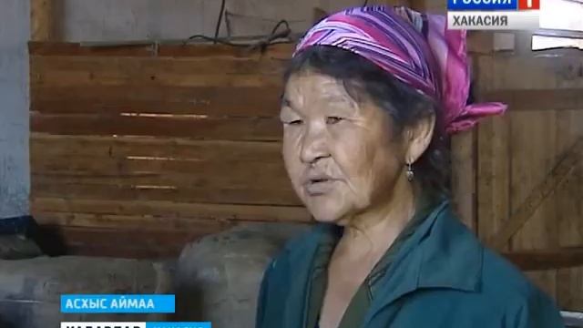 Стрижка овец смотреть онлайн