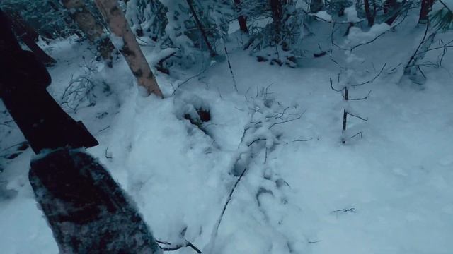 Охота на косулю в заснеженной тайге. Сломали бампер на Амароке. Солянка в тайге. Серия 1. смотреть онлайн