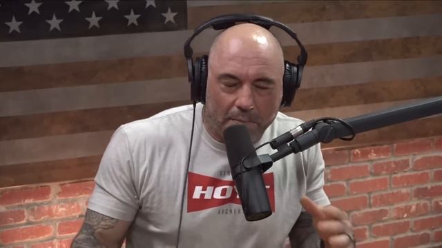 Joe Rogan on Francis Ngannou KO'ing Junior Dos Santos смотреть онлайн