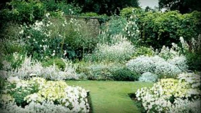 БЕЛЫЙ САД РОМАНТИЧЕСКИЙ ОАЗИС СПОКОЙСТВИЯ смотреть онлайн