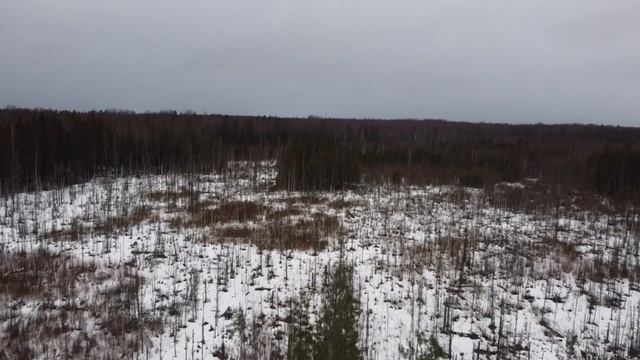 Река Лемовжа. (Январь) смотреть онлайн