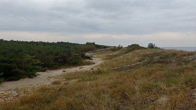 Куршская коса в Калининградской области, летние виды смотреть онлайн