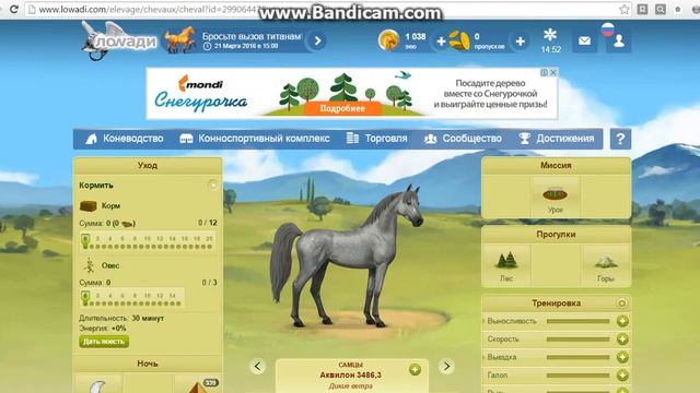 Лоwади 4# как качать лошадь смотреть онлайн