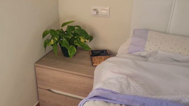 Si TIENES esta PLANTA ¡CUÍDALA! Es MUY VALIOSA para tu CASA | Plantas de Interior Fáciles y Rápidas смотреть онлайн