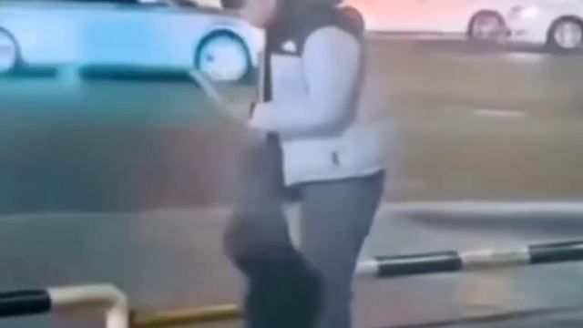 Хотел покормить а тут такое.😂 смотреть онлайн