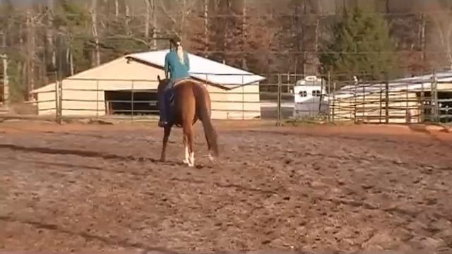 2005 AQHA mare for sale by Selection So Simple - SOLD смотреть онлайн
