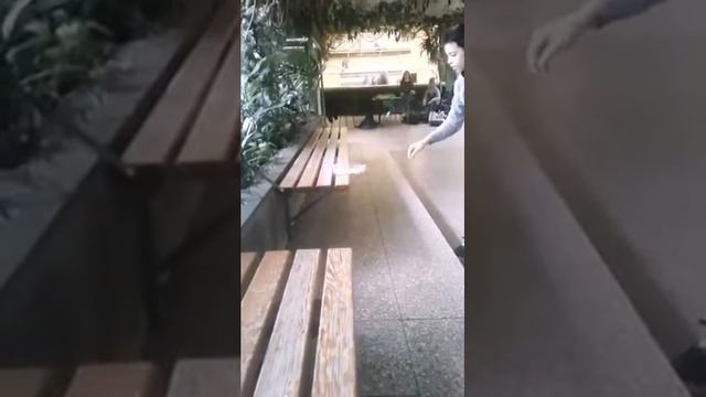 Bottle Flip Challenge #3 Im Frankfurter Zoo ? смотреть онлайн
