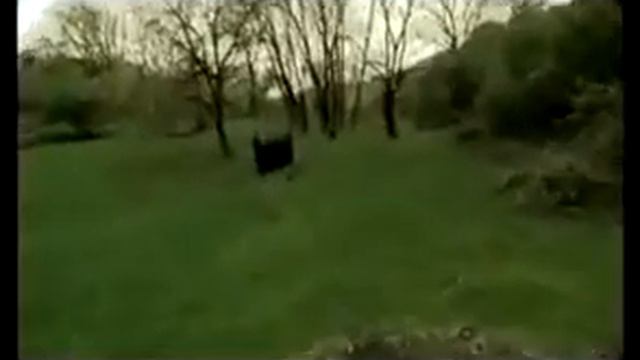 Abbas - Sarı Gəlin (Azeri muzik) смотреть онлайн