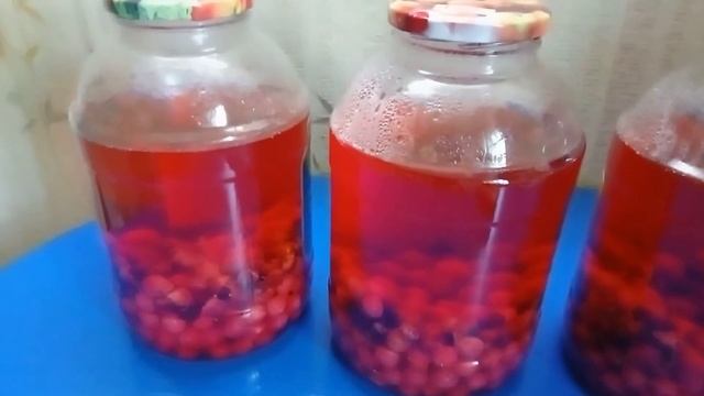 Компот из вишни!☺️ смотреть онлайн