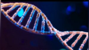 ДОЛГОЖИТЕЛЬСТВО. МАТРИЦА П.П.ГАРЯЕВА УСТАНОВКА ЖИЗНИ ДО 1000 ЛЕТ(слушать 7 дн, перерыв 7 дн )