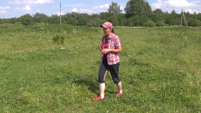 Лошади и насекомые. смотреть онлайн