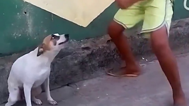 танец со щенком смотреть онлайн