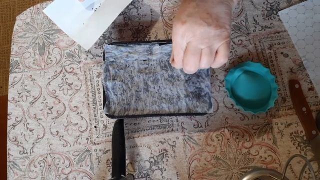 Правильно сеем чернику-форте!