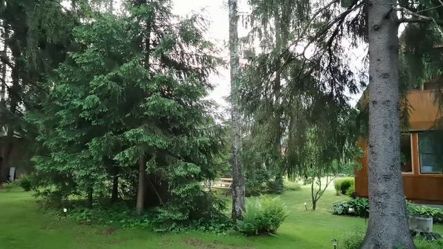 Honor 30 Pro+ смотреть онлайн