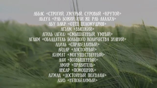 Красивые имена для мальчиков на А 2023 смотреть онлайн